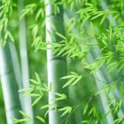 ヒメ日記 2025/07/03 08:30 投稿 まな 梅田アバンチュール