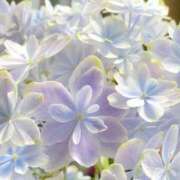 ヒメ日記 2025/07/11 08:30 投稿 まな 梅田アバンチュール