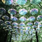 ヒメ日記 2025/07/17 08:45 投稿 まな 梅田アバンチュール