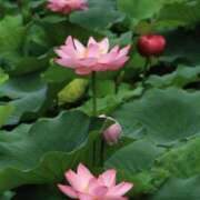 ヒメ日記 2025/07/21 21:00 投稿 まな 梅田アバンチュール