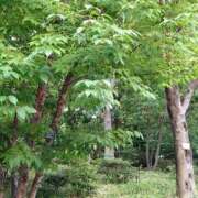 ヒメ日記 2025/07/22 08:45 投稿 まな 梅田アバンチュール