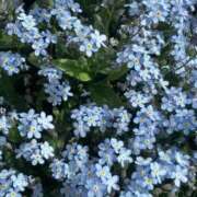 ヒメ日記 2025/07/30 21:00 投稿 まな 梅田アバンチュール