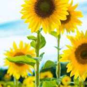 ヒメ日記 2025/08/01 08:30 投稿 まな 梅田アバンチュール