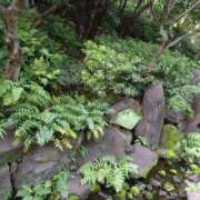 ヒメ日記 2025/08/18 08:30 投稿 まな 梅田アバンチュール