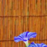 ヒメ日記 2025/08/23 09:00 投稿 まな 梅田アバンチュール