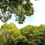 ヒメ日記 2025/09/01 08:30 投稿 まな 梅田アバンチュール