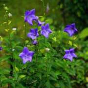 ヒメ日記 2025/09/08 08:45 投稿 まな 梅田アバンチュール