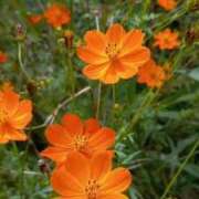 ヒメ日記 2025/09/20 08:45 投稿 まな 梅田アバンチュール