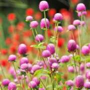 ヒメ日記 2025/09/21 21:45 投稿 まな 梅田アバンチュール