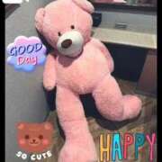 なつめ くまがでた‼️ マダムバンク 富山本店