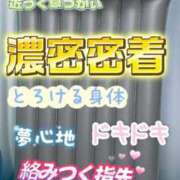 ヒメ日記 2025/12/12 01:24 投稿 なつめ マダムバンク 富山本店