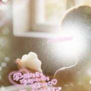 ヒメ日記 2025/12/15 00:44 投稿 なつめ マダムバンク 富山本店