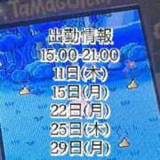 ひする 12月の出勤予定 川崎ソープ　クリスタル京都南町