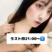 ヒメ日記 2025/04/06 16:03 投稿 おと TOKYO BUNNYS CLUB