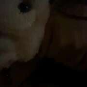 ヒメ日記 2025/06/08 01:13 投稿 おと TOKYO BUNNYS CLUB