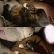 ヒメ日記 2025/06/25 22:06 投稿 おと TOKYO BUNNYS CLUB