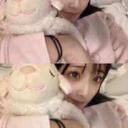 ヒメ日記 2025/06/28 15:05 投稿 おと TOKYO BUNNYS CLUB