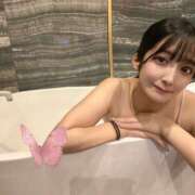 ヒメ日記 2025/07/29 15:03 投稿 おと TOKYO BUNNYS CLUB