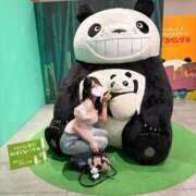 ヒメ日記 2025/08/15 07:23 投稿 おと TOKYO BUNNYS CLUB