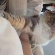 ヒメ日記 2025/09/13 22:53 投稿 おと TOKYO BUNNYS CLUB