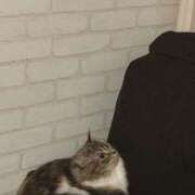 ヒメ日記 2025/09/14 13:23 投稿 おと TOKYO BUNNYS CLUB