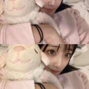 ヒメ日記 2025/09/23 18:13 投稿 おと TOKYO BUNNYS CLUB