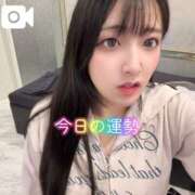 ヒメ日記 2025/10/11 12:23 投稿 おと TOKYO BUNNYS CLUB