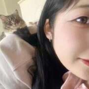 ヒメ日記 2025/11/06 20:33 投稿 おと TOKYO BUNNYS CLUB