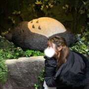 ヒメ日記 2026/03/26 19:14 投稿 おと TOKYO BUNNYS CLUB