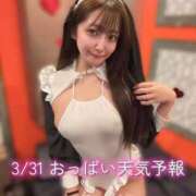 ヒメ日記 2026/03/31 07:13 投稿 おと TOKYO BUNNYS CLUB
