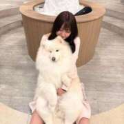 ヒメ日記 2026/04/01 10:13 投稿 おと TOKYO BUNNYS CLUB