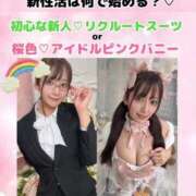 ヒメ日記 2026/04/24 17:03 投稿 おと TOKYO BUNNYS CLUB