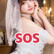 ヒメ日記 2026/06/19 20:53 投稿 おと TOKYO BUNNYS CLUB