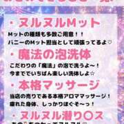 ヒメ日記 2026/07/02 19:33 投稿 おと TOKYO BUNNYS CLUB