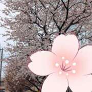 ヒメ日記 2025/03/29 14:59 投稿 つき 新宿プチドール