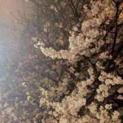 ヒメ日記 2025/04/02 18:49 投稿 つき 新宿プチドール