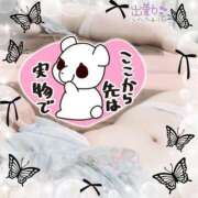 ヒメ日記 2025/04/05 20:59 投稿 つき 新宿プチドール