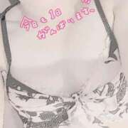 ヒメ日記 2025/04/09 15:01 投稿 つき 新宿プチドール