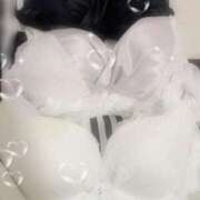 ヒメ日記 2025/04/12 15:29 投稿 つき 新宿プチドール