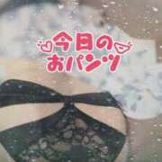 ヒメ日記 2025/04/21 20:09 投稿 つき 新宿プチドール