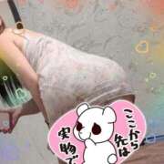 ヒメ日記 2025/07/11 07:29 投稿 つき 新宿プチドール