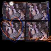 ヒメ日記 2025/10/09 12:03 投稿 つき 新宿プチドール