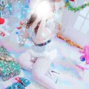 ヒメ日記 2025/12/08 06:19 投稿 つき 新宿プチドール