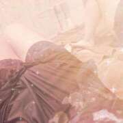 ヒメ日記 2025/12/08 14:39 投稿 つき 新宿プチドール