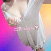 ヒメ日記 2026/03/05 09:20 投稿 つき 新宿プチドール