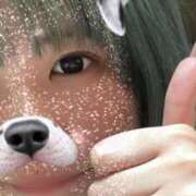 ヒメ日記 2025/05/24 03:58 投稿 ふゆ 西東京市小平ちゃんこ