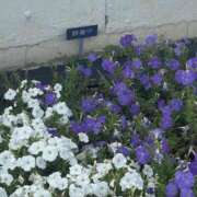 ヒメ日記 2025/06/27 23:23 投稿 ふゆ 西東京市小平ちゃんこ