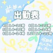 ヒメ日記 2025/07/04 07:43 投稿 ふゆ 西東京市小平ちゃんこ