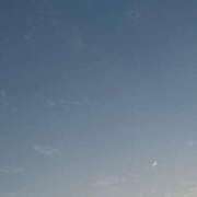 ヒメ日記 2025/07/06 18:18 投稿 ふゆ 西東京市小平ちゃんこ