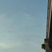 ヒメ日記 2026/03/14 17:02 投稿 ふゆ 西東京市小平ちゃんこ